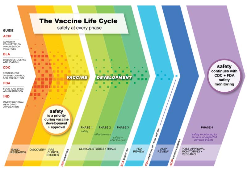 Vaccine Infographic